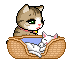 cat 17